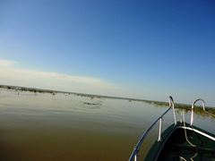 PLIMBARI IN DELTA 2013